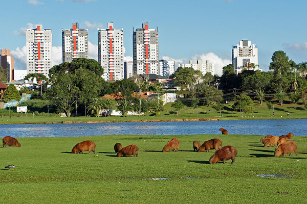 parque_barigui